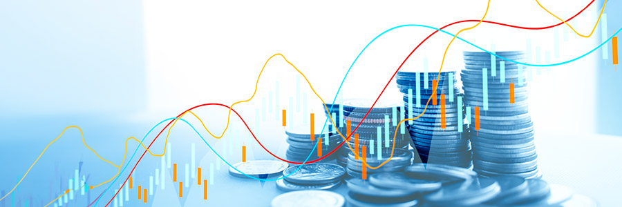 Manage Leo points in portfolio and asset management